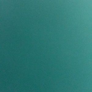 Meet your Posher, Elise